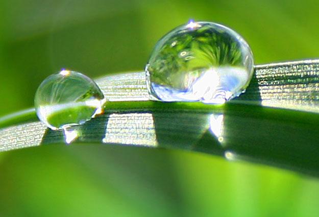 Wasserspender mit Premium Quellwasser